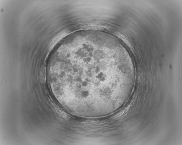 X0000086941075200705071412