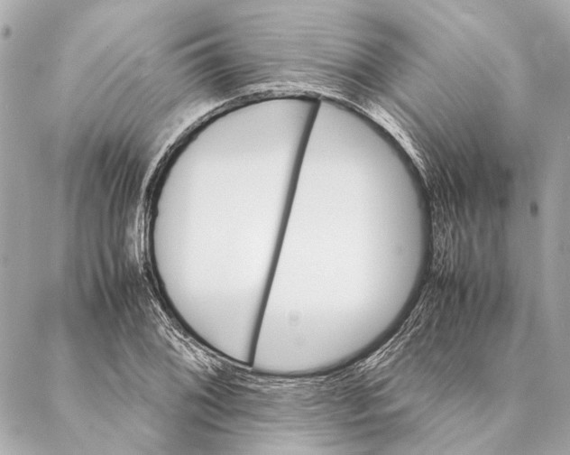 X0000086941076200705071412