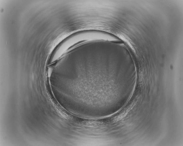 X0000086941077200705071412