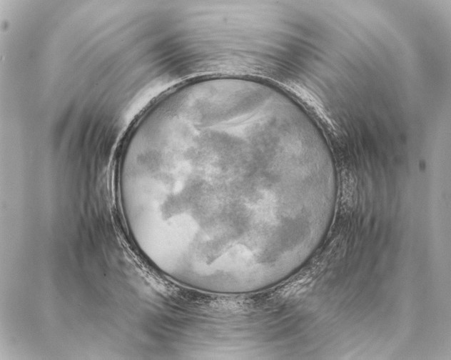 X0000086941078200705071412