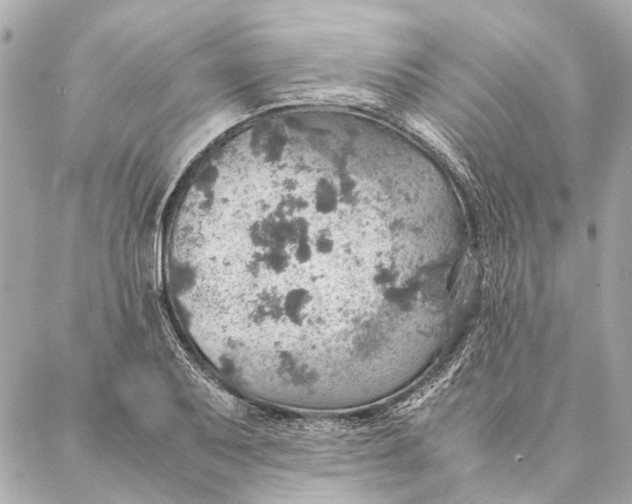 X0000086941079200705071412