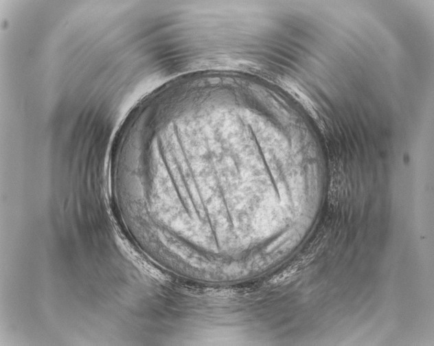 X0000086941080200705071412