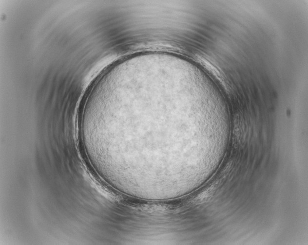 X0000086941082200705071412