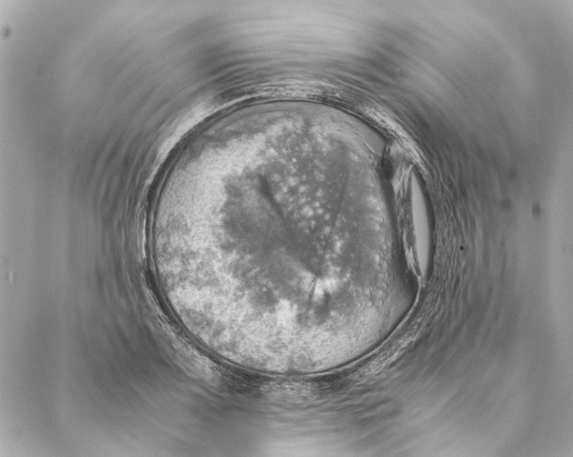 X0000086941083200705071412