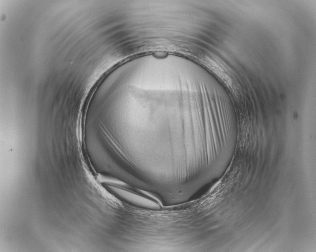 X0000086941084200705071412