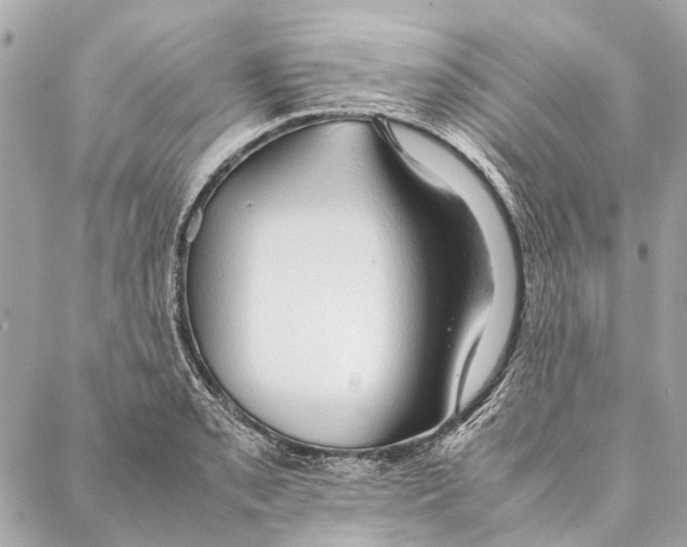 X0000086941085200705071412