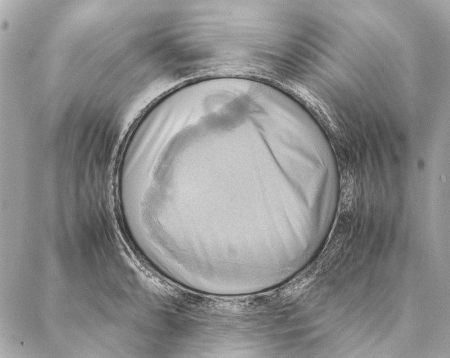 X0000086941086200705071412