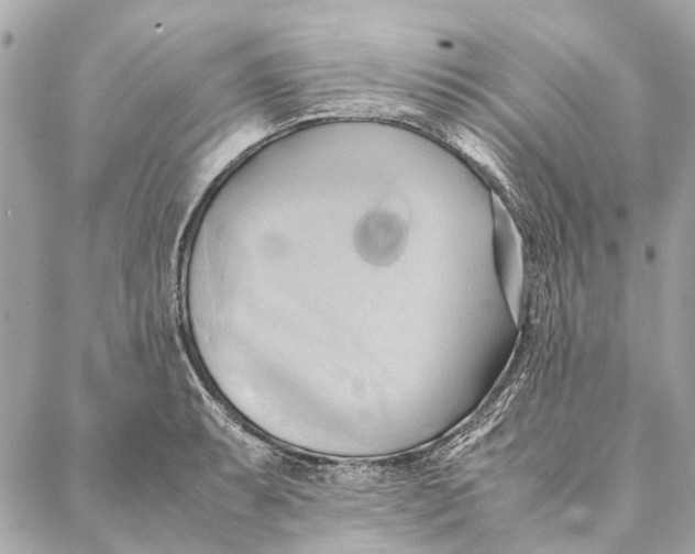 X0000086941087200705071412