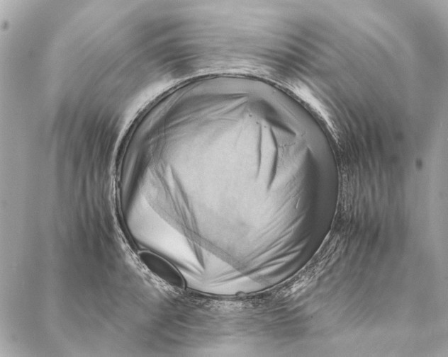 X0000086941088200705071412