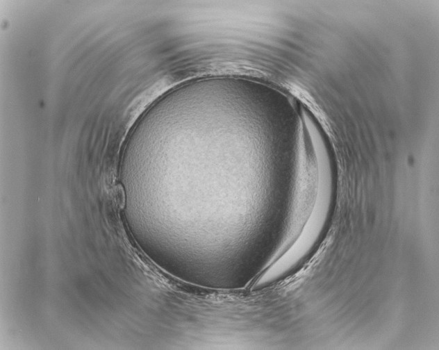 X0000086941089200705071412