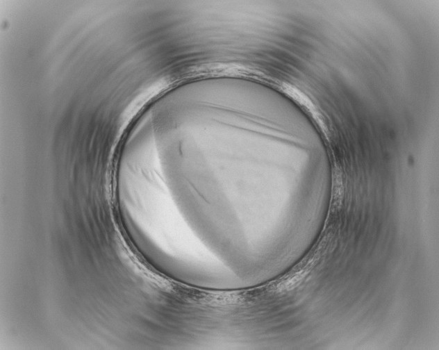 X0000086941090200705071412