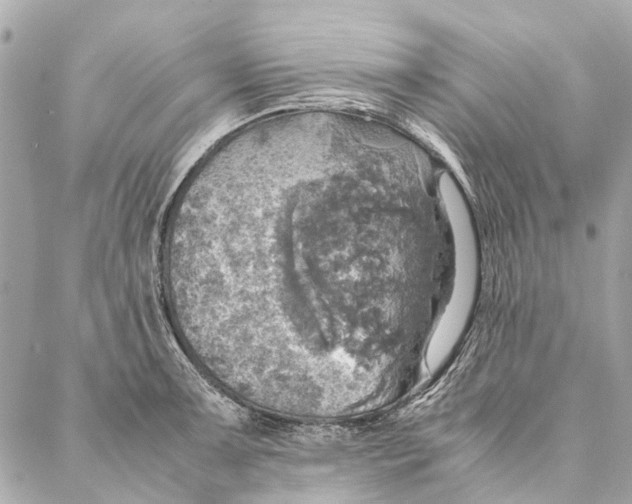 X0000086941091200705071412