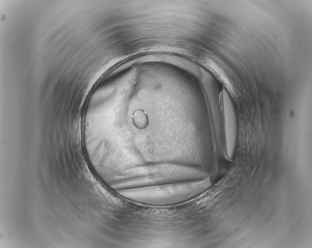 X0000086941092200705071412