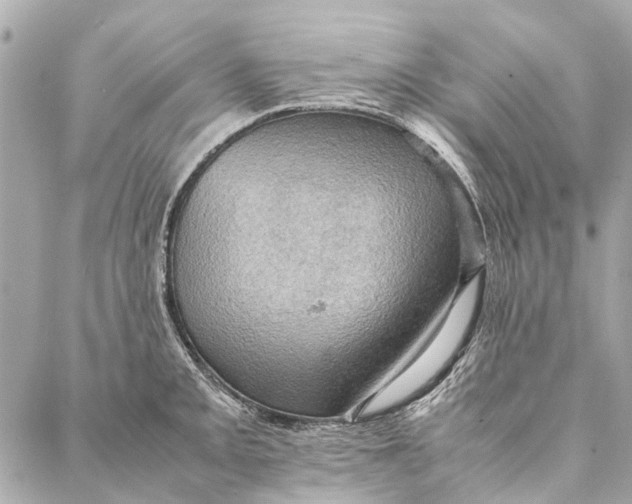 X0000086941093200705071412