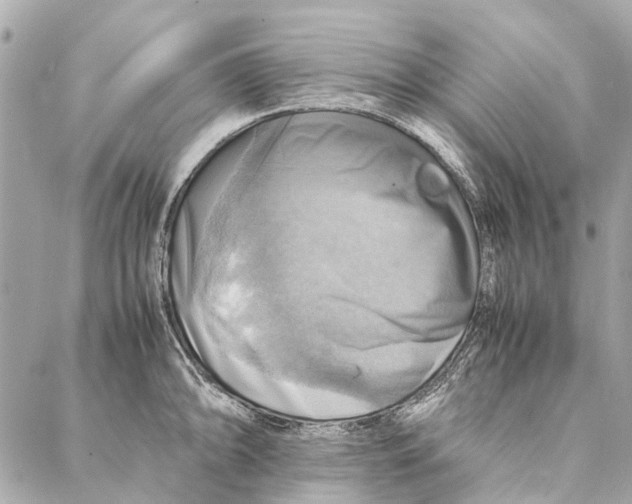 X0000086941094200705071412