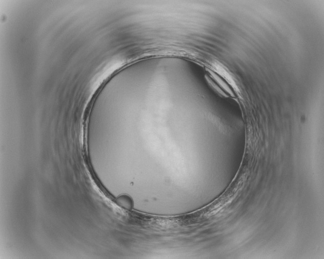 X0000086941095200705071412