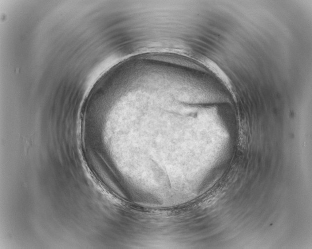 X0000086941096200705071412