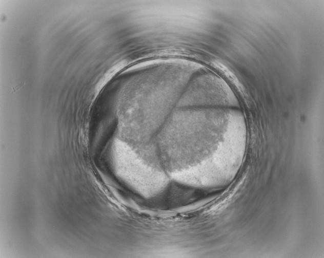 X0000086941097200705071412