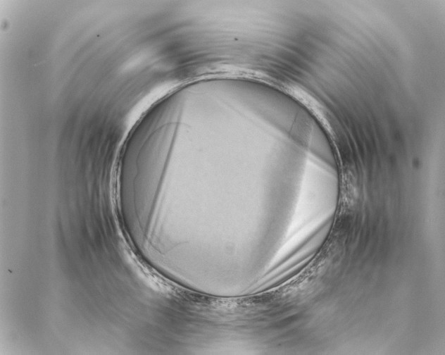 X0000086941098200705071412