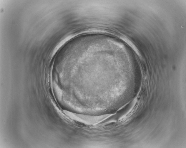 X0000086941101200705071412