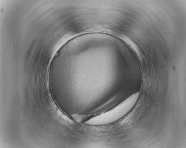 X0000086941102200705071412