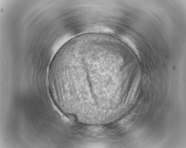 X0000086941103200705071412