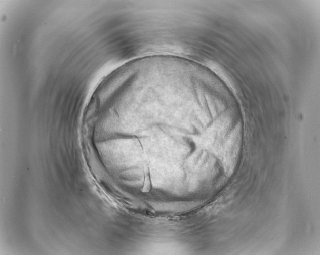 X0000086941104200705071412