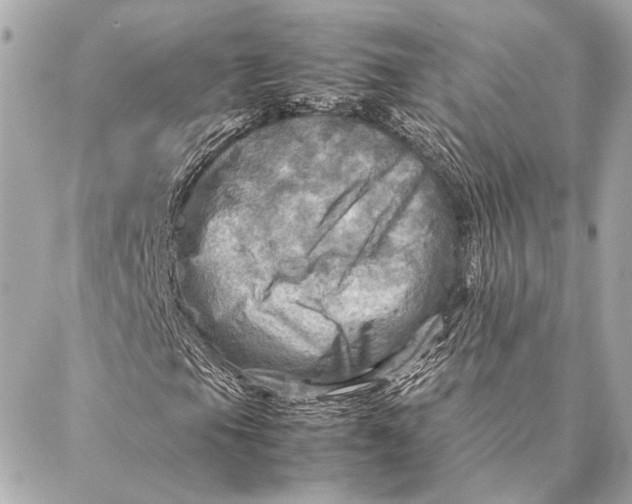 X0000086941105200705071411