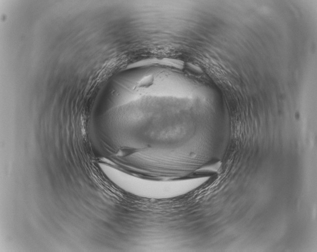 X0000086941106200705071411