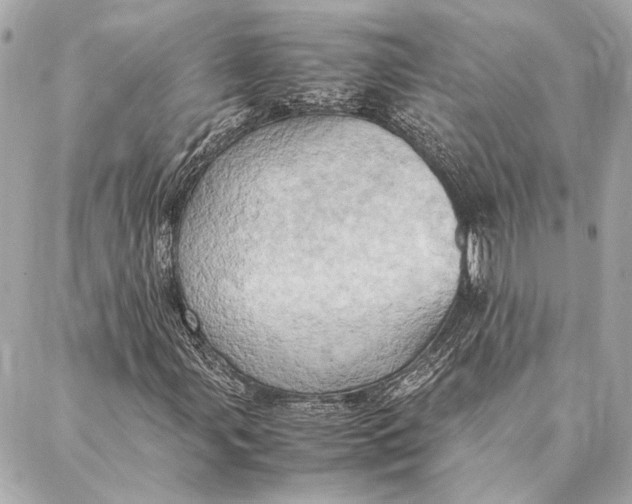 X0000086941107200705071411