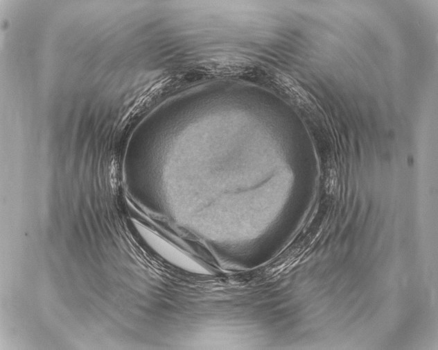 X0000086941108200705071411