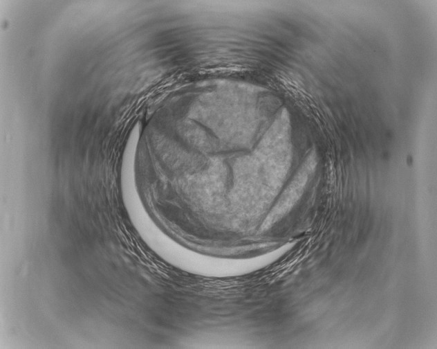 X0000086941109200705071411