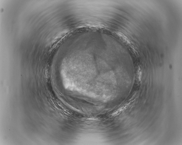 X0000086941110200705071411