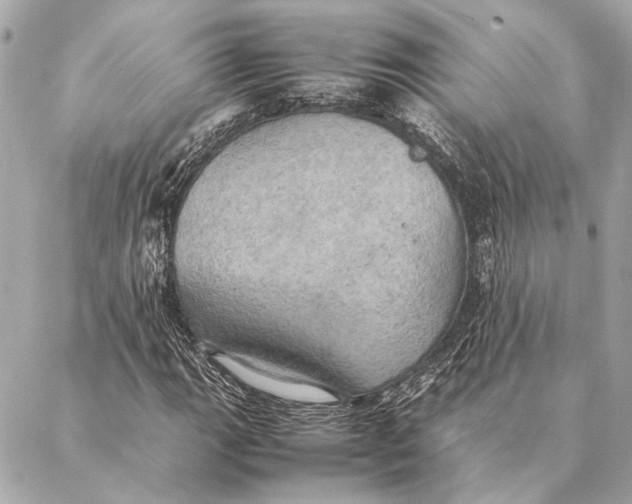 X0000086941111200705071411