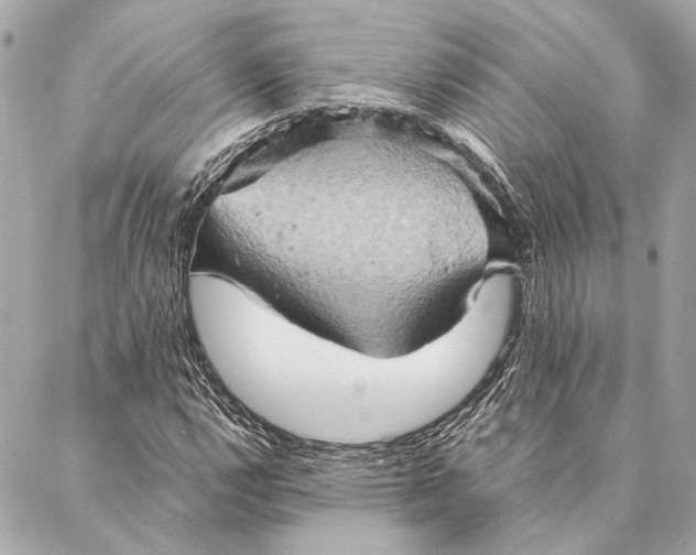 X0000086941112200705071411