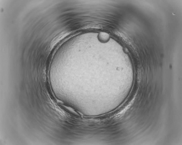 X0000086941113200705071411