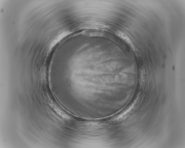 X0000086941114200705071411