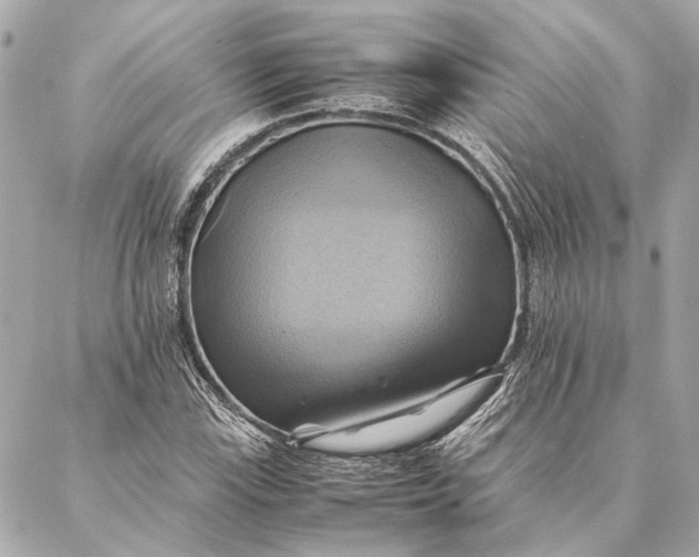 X0000086941115200705071411