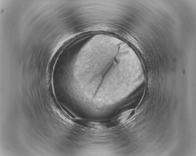 X0000086941116200705071411