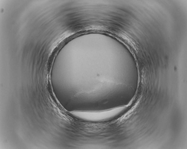 X0000086941117200705071411