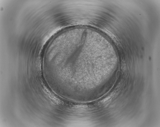 X0000086941118200705071411