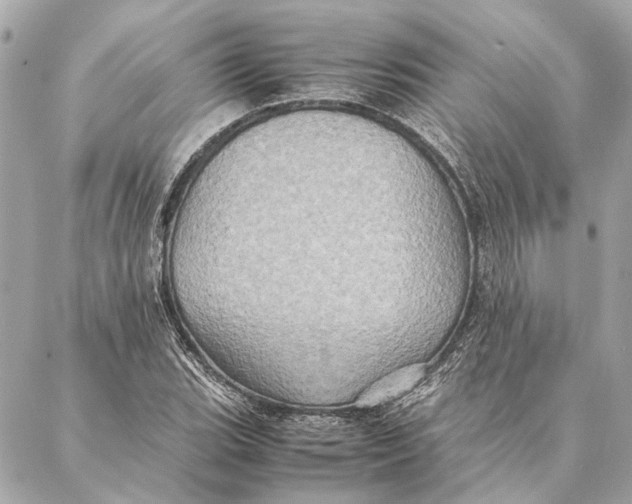 X0000086941119200705071411