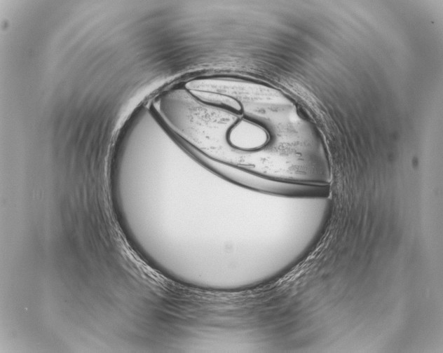 X0000086941120200705071411