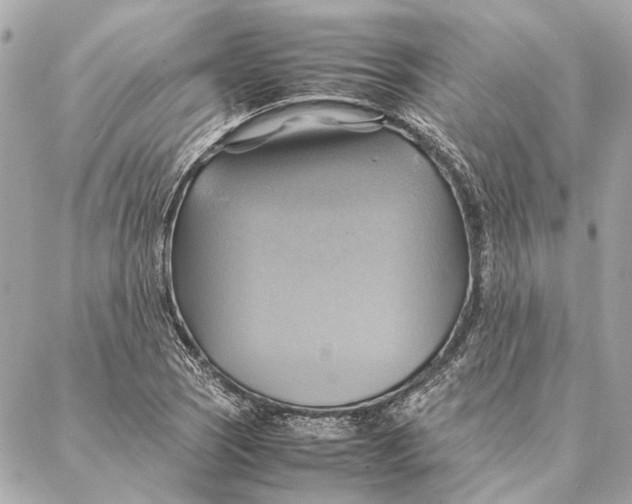 X0000086941121200705071411