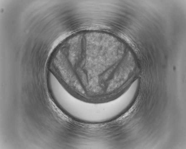 X0000086941122200705071411