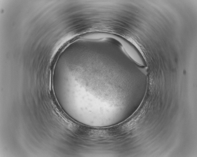 X0000086941123200705071411