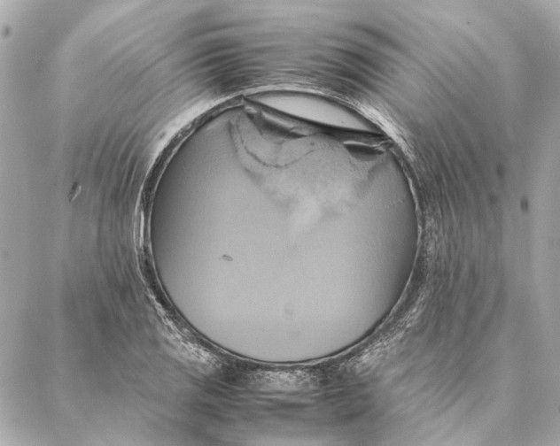 X0000086941125200705071411