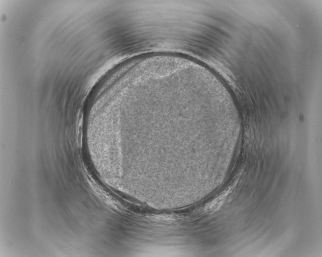 X0000086941126200705071411