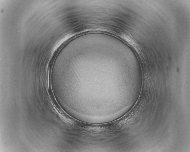 X0000086941127200705071411