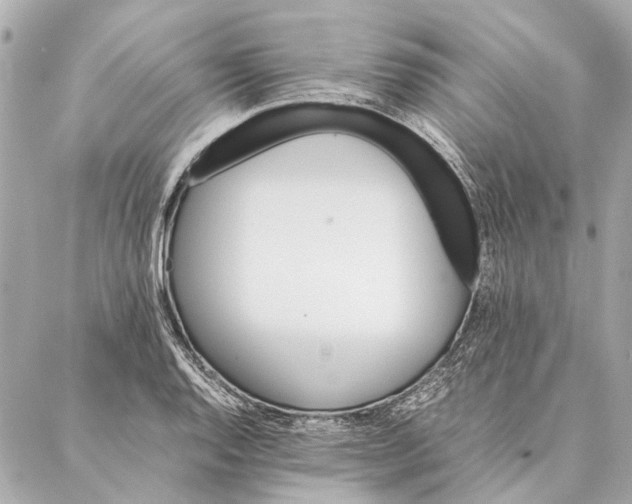 X0000086941128200705071411